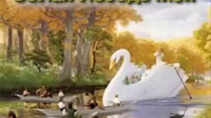 Белая лебедь моя