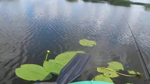 Озеро Неро. Щука. 23 июля 2017 смотреть онлайн