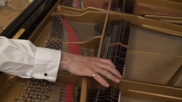 Сеня Сон Концерт Пиццикато смотреть онлайн