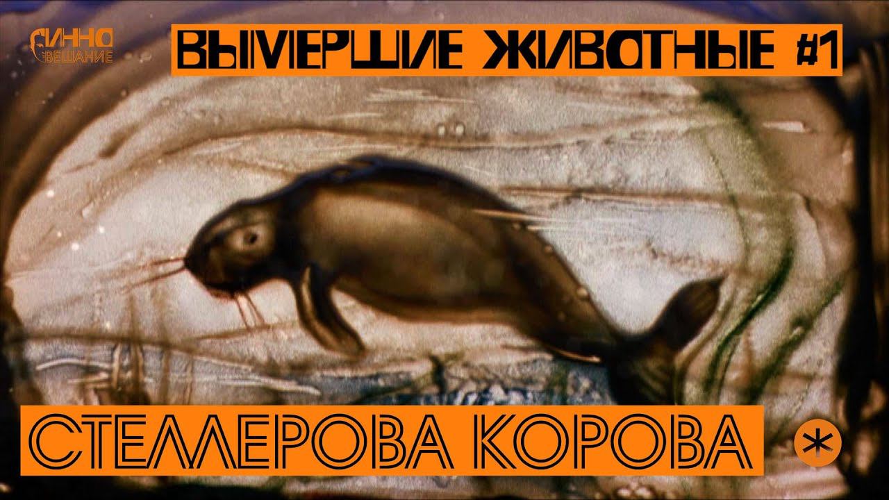 СТЕЛЛЕРОВА КОРОВА. ВЫМЕРШИЕ ЖИВОТНЫЕ. СЕРИЯ ПЕРВАЯ. смотреть онлайн