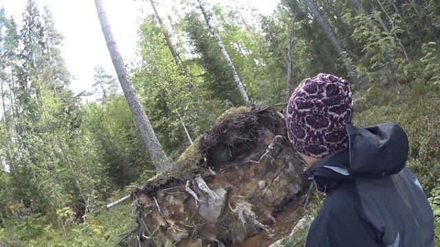 Очищение желудка. Вдоль озера. Лес. No food #6. Back to the road. смотреть онлайн