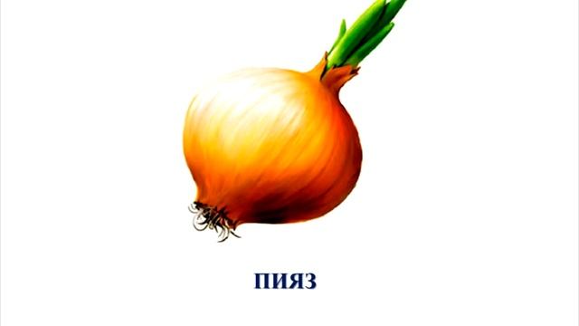 Көкөністер 2. Овощи. Урок казахского языка для дошкольников. Коконистер. Учимся играя.Казахский язы