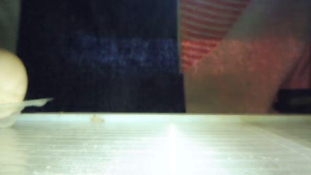 #ОВОСКОПИРОВАНИЕ куриных яиц / Как зарождается жизнь в ЯЙЦЕ курицы / Птенцы китайских кур и селадон смотреть онлайн