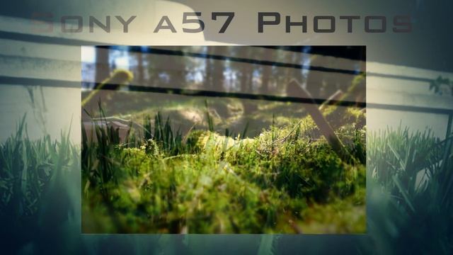 Sony Alpha A57 18-55mm 1080p HD Video and Photo Test Review смотреть онлайн