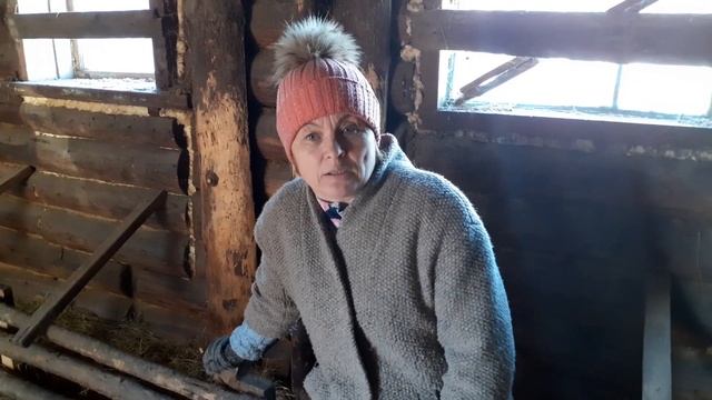 ГНЁЗДА ДЛЯ КУР НЕСУШЕК- своими руками из подручных материалов!(как сделать и советы содержания кур) смотреть онлайн