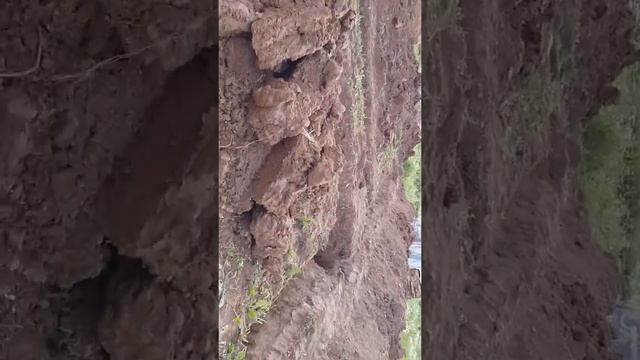 Траншея заглубленного ленточного фундамента ч.1 смотреть онлайн