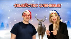 Животный мир. Семейство оленевые.