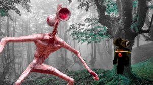 База СИРЕНОГОЛОВЫХ оказалась в нашем лесу