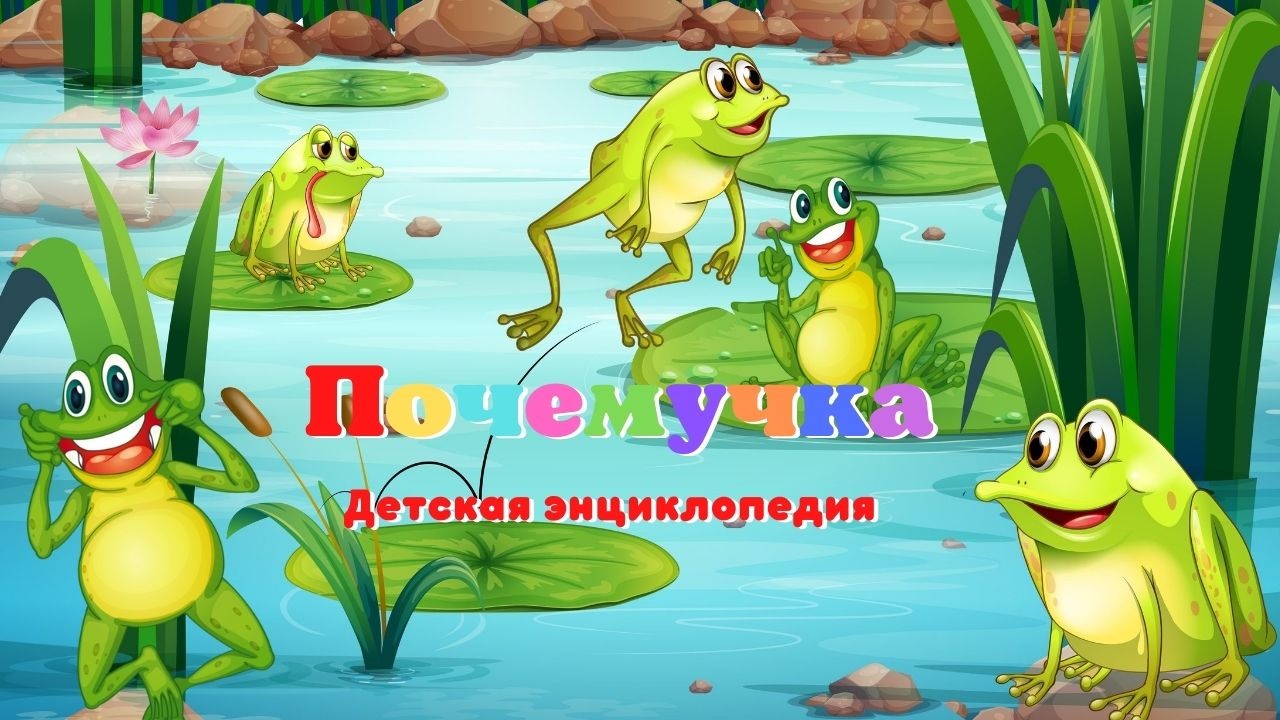 0+Кто такие земноводные? Почемучка. Детская энциклопедия. смотреть онлайн