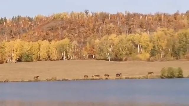 Деревня Ключи речка смотреть онлайн