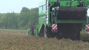 Уборка урожая картофеля 2021. Обзор картофелеуборочного комбайна от завода Колнаг видео.mp4