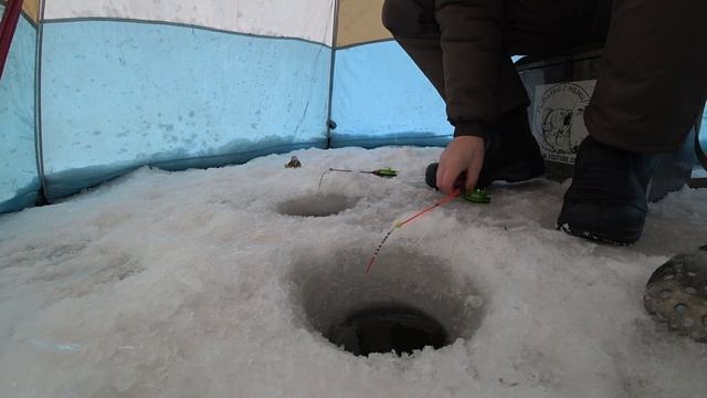 РЫБАЛКА НА МУРИНСКИХ В МОРОЗ, ОКУНЬ НА МОРМЫШКУ! ЛОВИМ НА УРАЛЕ! смотреть онлайн