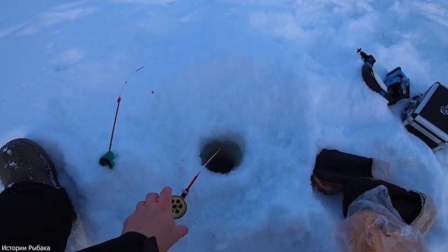 ОБЗОР ПОДВОДНОЙ камеры FANKY FISH с OZON!!! Я ТАКОГО НЕ ОЖИДАЛ!!! смотреть онлайн