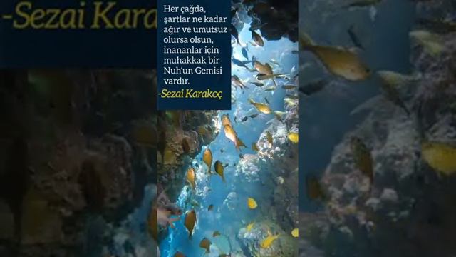 Nuh'un Gemisi Sezai Karakoç Seslendiren : Sezai Ergül смотреть онлайн