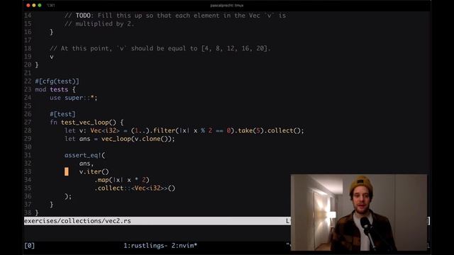 Rust For Beginners Tutorial - Vectors смотреть онлайн