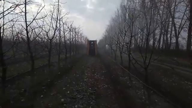 Caffini Syntethis 2000 смотреть онлайн