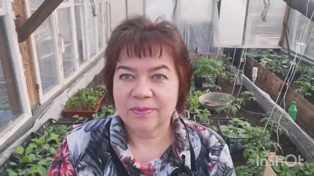 Мой сад-огород на 27.05.22, маленькие советы. смотреть онлайн