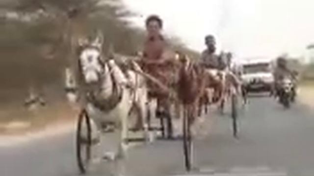 horse cart race karur 2012 смотреть онлайн