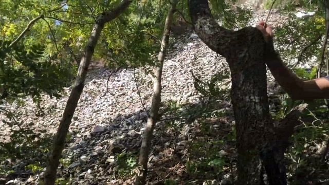 Гора Бык смотреть онлайн