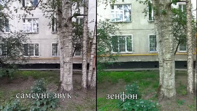 Samsung galaxy A50 или asus zenfone 5? Сравнение 2019 смотреть онлайн