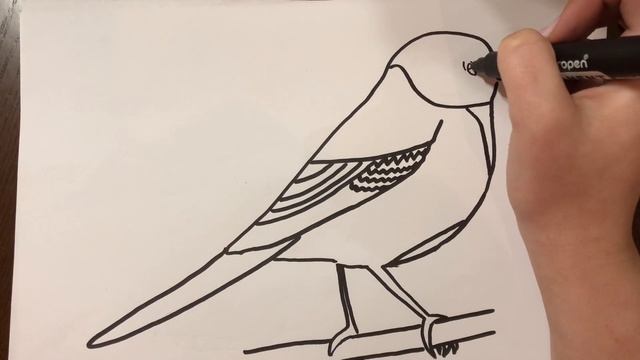 Как нарисовать птичку?/How to draw a bird? смотреть онлайн