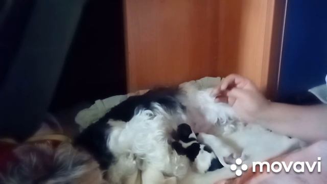 Я родился!!!! У нас прибавление💐💐💐 смотреть онлайн