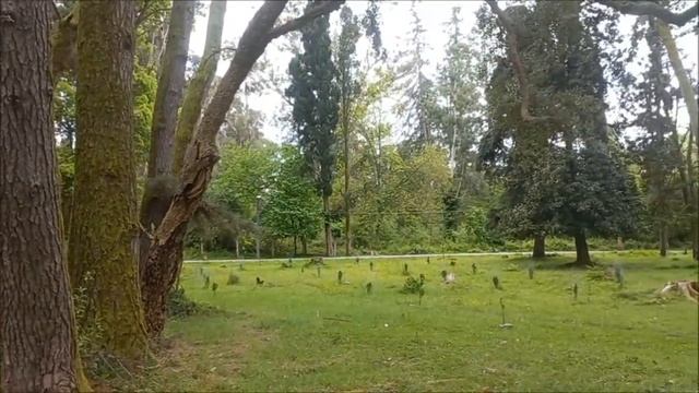 Пляж и Парк в пос. Агудзера. (10.05.2023)