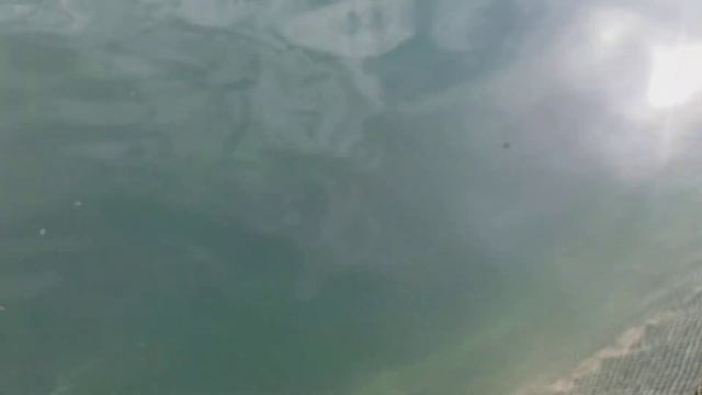 Белуга смотреть онлайн