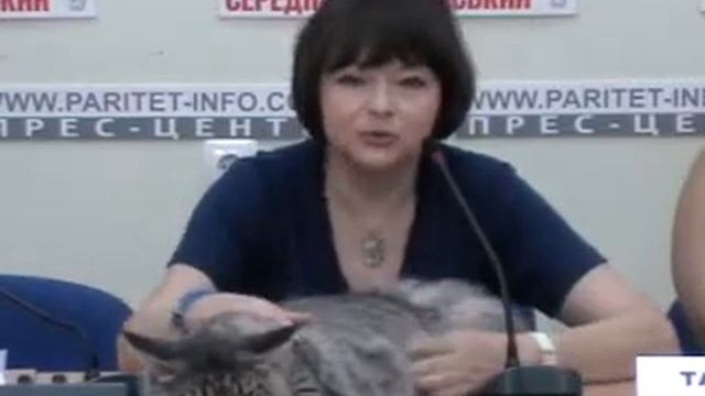 Пресс-конференция "Каждой кошке - свой дом" смотреть онлайн