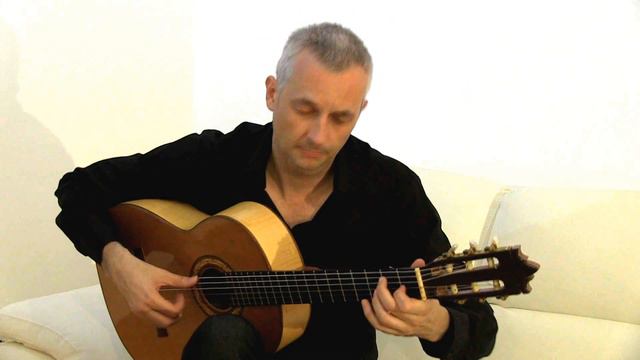 Mexican Hat Dance (Jarabe tapatio) - Darko Nikcevic смотреть онлайн