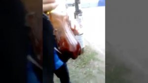 Невский#2