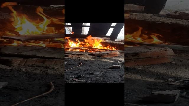 пикник в лесу