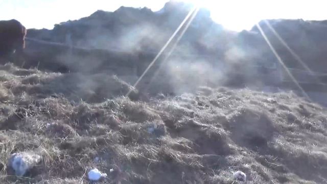 Ночь без света, не теряйте меня)) смотреть онлайн