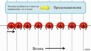 ? Продольные и поперечные волны ⚛ Физика