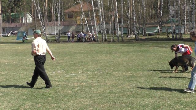 Чемпионат Московской области 2017 г. по ОКД и ЗКС (двоеборье). смотреть онлайн