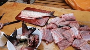 ЖЕРЕХ СОЛИМ, ЖАРИМ, УХУ ВАРИМ