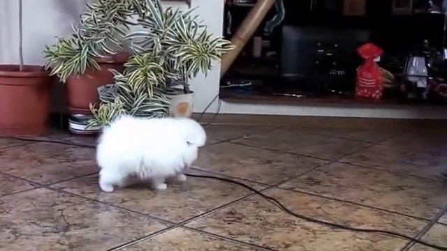 Белый мальчик от Эмили и Хвыли смотреть онлайн