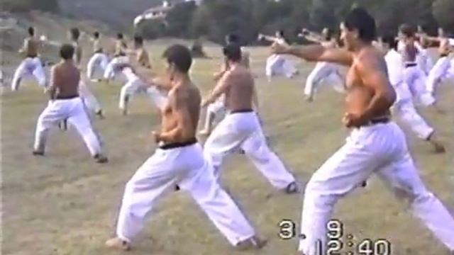 Монастырь Св.Прохора Пчинского, Каратэ Фудокан, Илья Йорга 8 Дан 1992 год - 1 часть смотреть онлайн