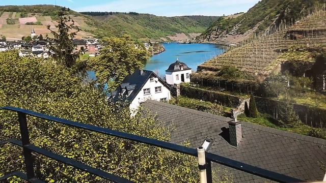 Аферисты в нашей жизни. Продолжение моей истории смотреть онлайн