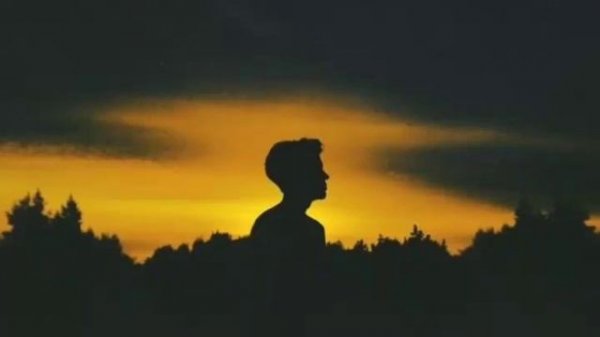 Aron wright - in the woods