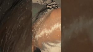 Создаём куклу Аннабель? (ужастик "Проклятие Аннабель") @Friday_Nightmares | @alex_tabak