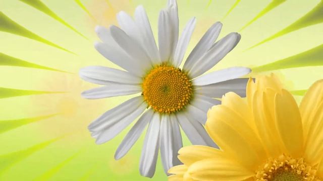 ремонт фундамента кирпичного дома смотреть онлайн