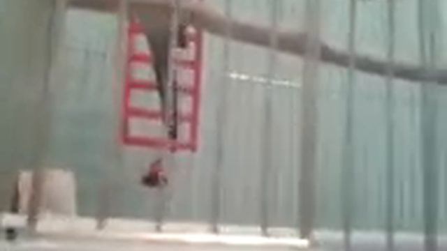 как научить попугая танцевать:) смотреть онлайн