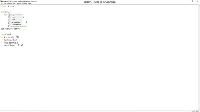 Drawing in Python смотреть онлайн