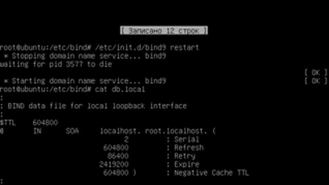 Установка и начальная настройка DNS Сервера BIND9 смотреть онлайн