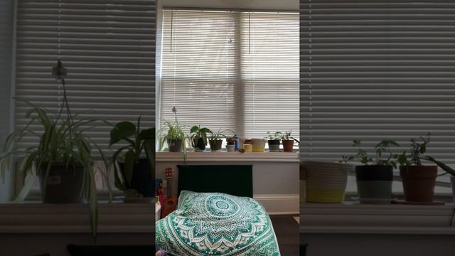Color hunt! смотреть онлайн
