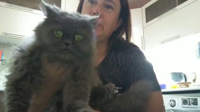 Воскресенье, продолжаю обустраивать мастерскую. смотреть онлайн