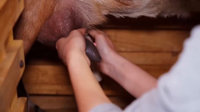 ДЕРЕВНЯ В УРАЛЬСКОЙ ГЛУБИНКЕ _ КРАПИВНЫЙ СУП _ ОГОРОД И ДОСКИ смотреть онлайн