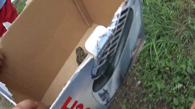 лягушечки смотреть онлайн