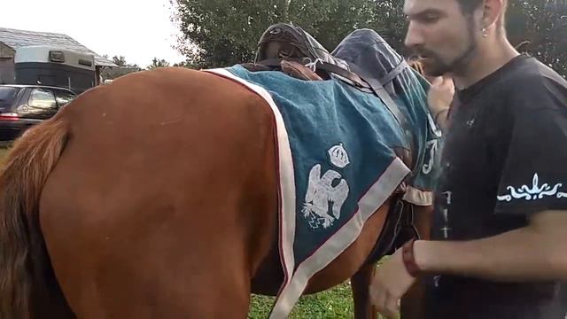 Седловка 18+ смотреть онлайн